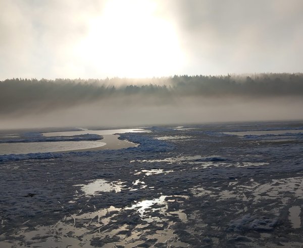 WhatsApp Image 2026-01-15 at 14.34.28