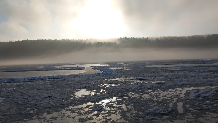 WhatsApp Image 2026-01-15 at 14.34.28