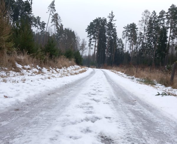 WhatsApp Image 2026-01-24 at 13.06.06