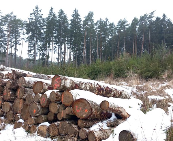 WhatsApp Image 2026-01-24 at 13.07.38