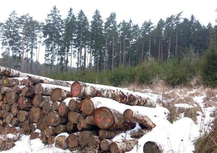 WhatsApp Image 2026-01-24 at 13.07.38