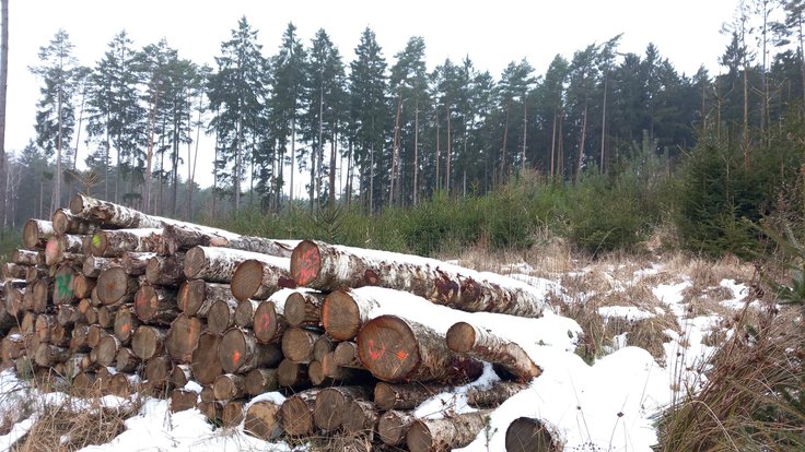 WhatsApp Image 2026-01-24 at 13.07.38