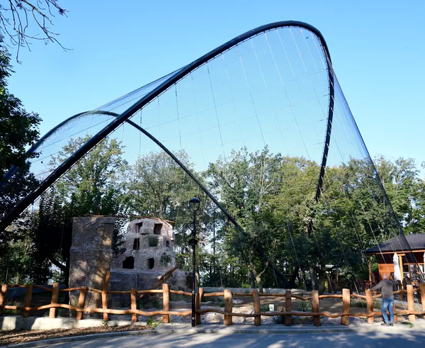 Zoo6