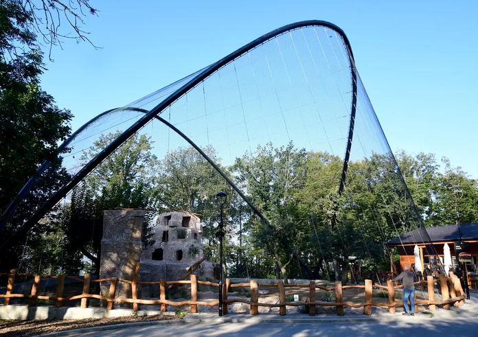 Zoo6