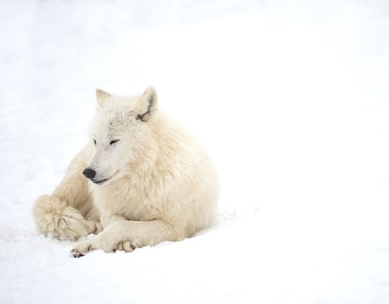 Zoo Olomouc