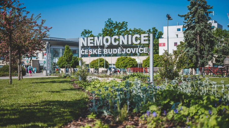 Nemocnice České Budějovice