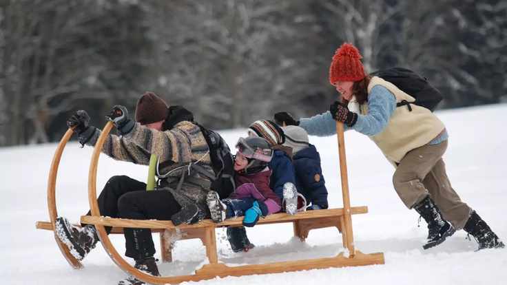 a6da8623-e159-411d-8886-7a119a17b265