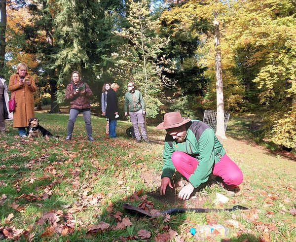 arboretum