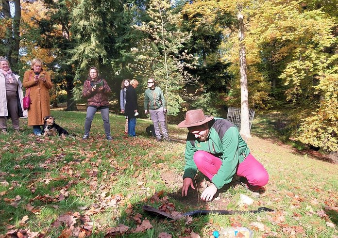 arboretum