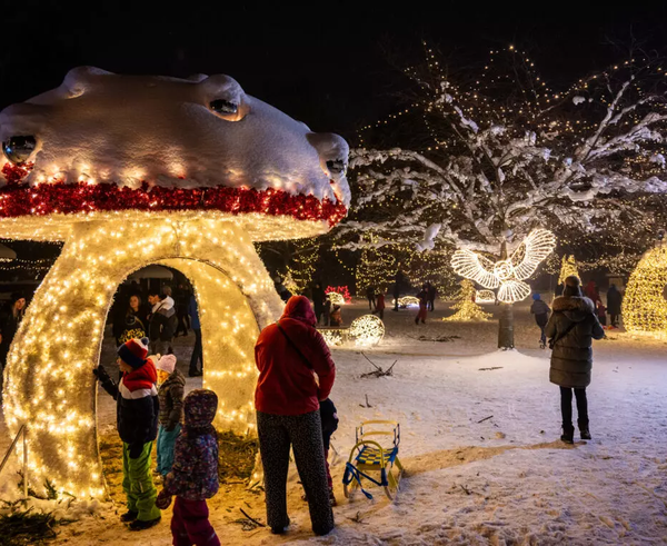 aea481b6-fd28-4664-966c-31f46cc7a53e