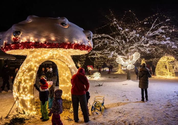 aea481b6-fd28-4664-966c-31f46cc7a53e