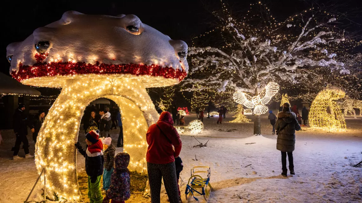 aea481b6-fd28-4664-966c-31f46cc7a53e