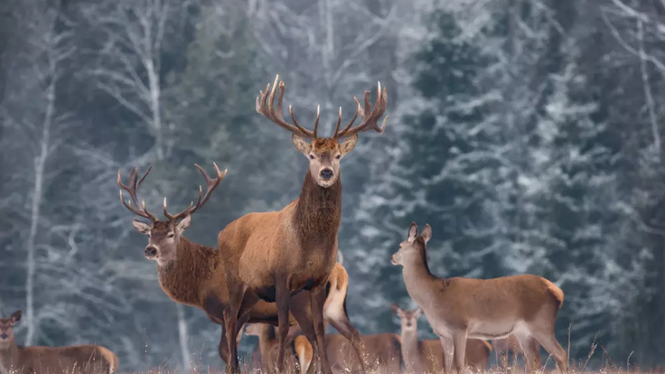 af6db1af-94ee-40d8-a1f2-13ccc313af75