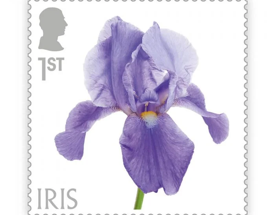 as9800-3-flowers-stamp-set_2