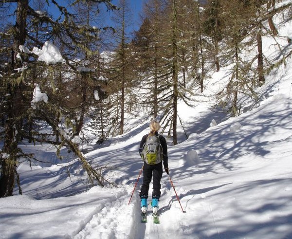 backcountry_skiiing_forest_ski_touring_skiing_skitouren_goers_outdoor_winter_sports_sport-1343861