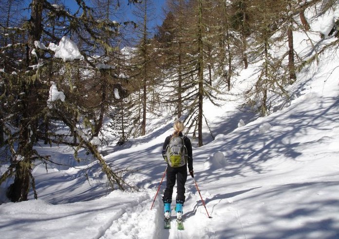 backcountry_skiiing_forest_ski_touring_skiing_skitouren_goers_outdoor_winter_sports_sport-1343861