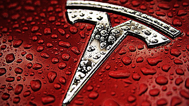 badfon-tesla-motors-red-silver-logo-2728