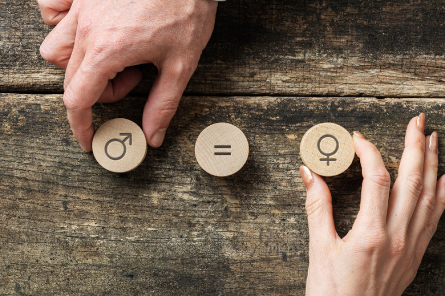 rovnost pohlaví