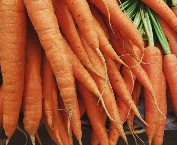 carrots_vegetable_food_fresh_fresh_vegetables_organic_orange_natural_food-664500