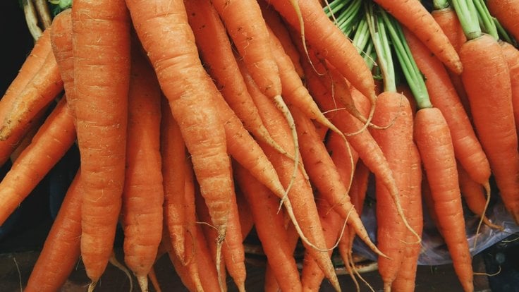 carrots_vegetable_food_fresh_fresh_vegetables_organic_orange_natural_food-664500