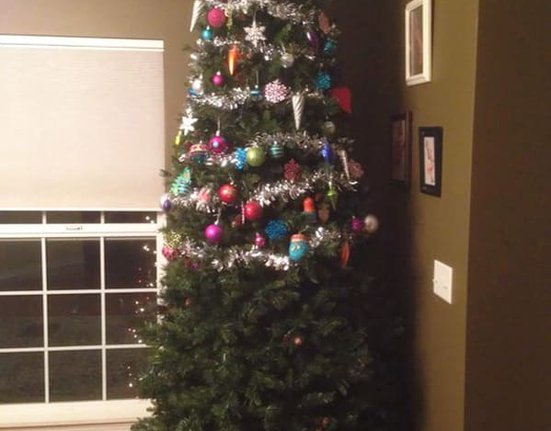 cat-christmas-tree-15.jpg