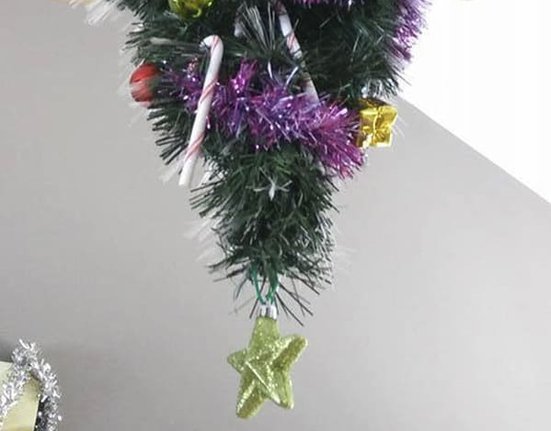 cat-christmas-tree-6.jpg