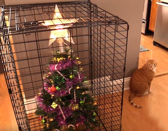 cat-christmas-tree-7.jpg