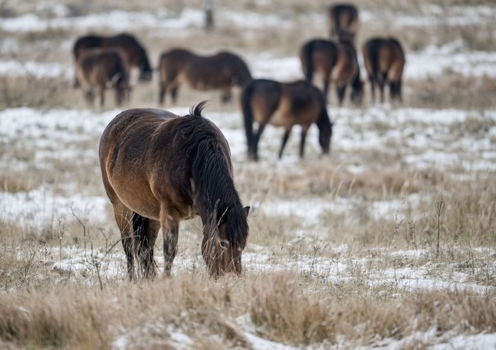 Milovická rezervace