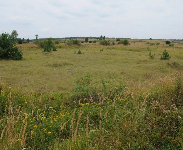 Milovická rezervace