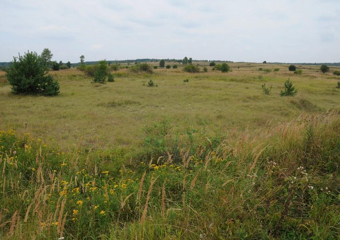 Milovická rezervace