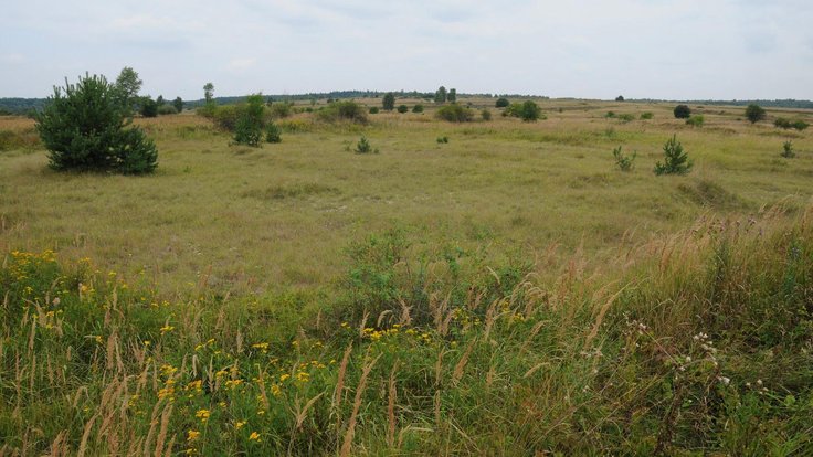 Milovická rezervace