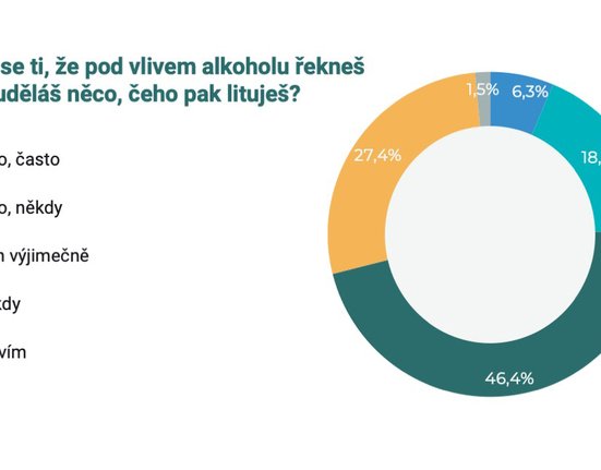 průzkum