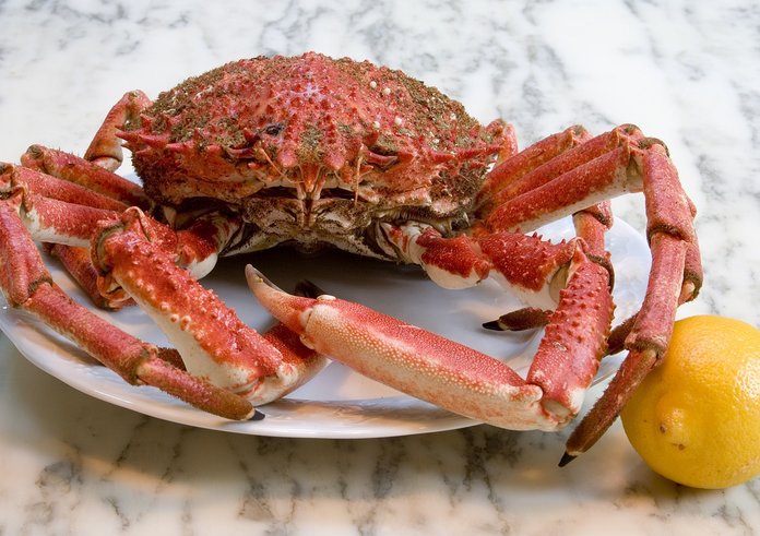 crab-5865928_1280