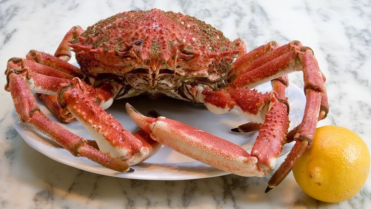 crab-5865928_1280