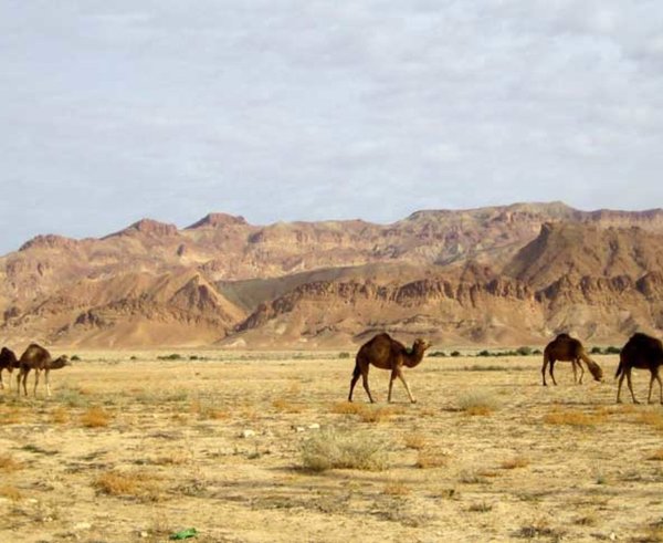 desert-route-1200x724