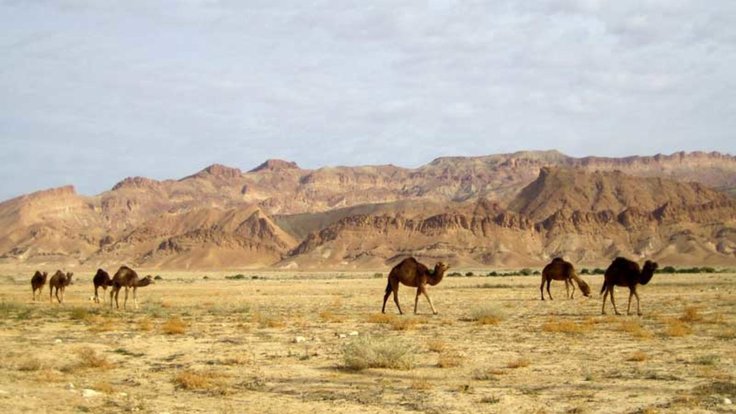 desert-route-1200x724