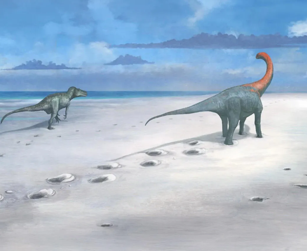 dinosaur-footprints.xc27e093e