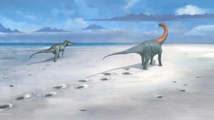 dinosaur-footprints.xc27e093e