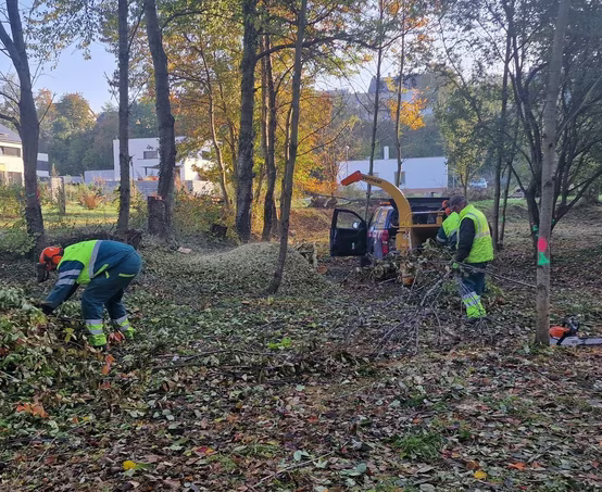 Droždín má raritní lokalitu, kde žijí vzácní živočichové