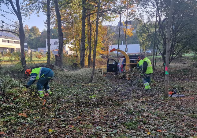 Droždín má raritní lokalitu, kde žijí vzácní živočichové