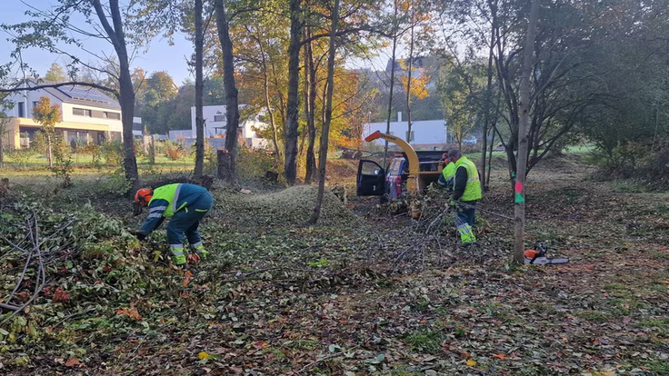 Droždín má raritní lokalitu, kde žijí vzácní živočichové