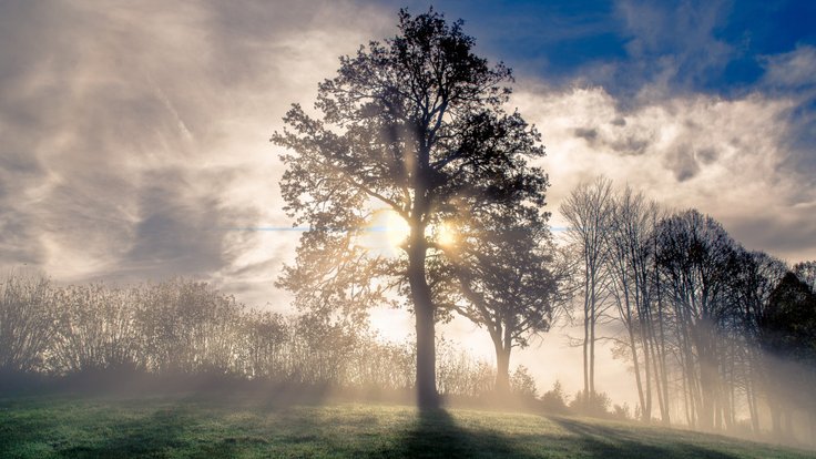 f28aac7c77a73545a20851f09b75-1435821