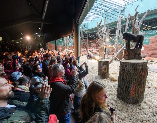 otevření nového gorilího pavilonu v Zoo Praha