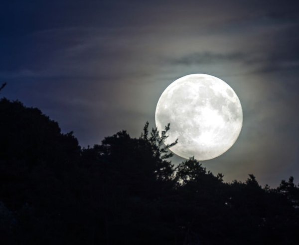 full-moon-evening-sky-moonlight-265513