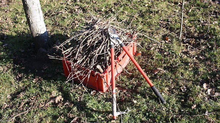 garden-branches-pruning-scissors-plant-spring-tree