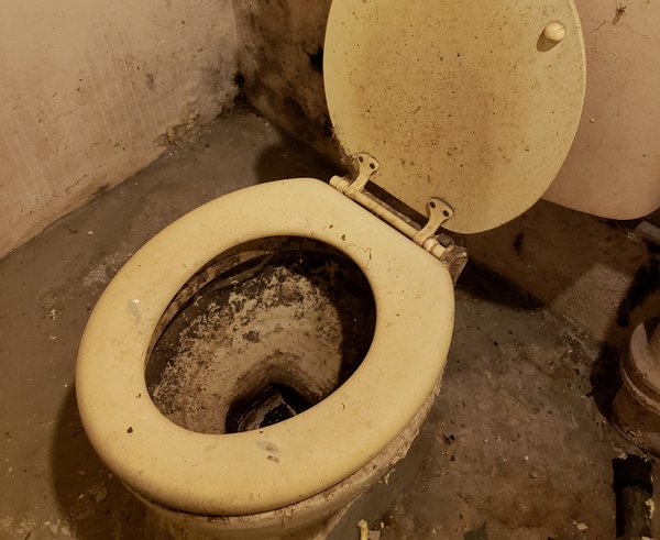 gungy-toilet