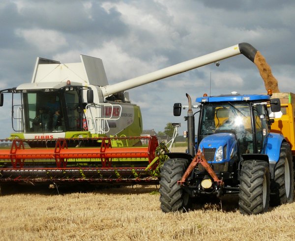 harvest_grain_combine_arable_farming_harvest_time_agricultural_vehicles_field_grain_wheat-572422 (1)