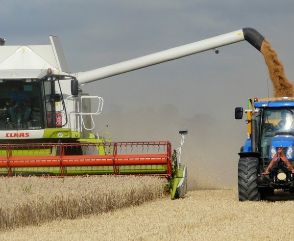 harvest_grain_combine_arable_farming_harvest_time_agricultural_vehicles_field_grain_wheat-572424
