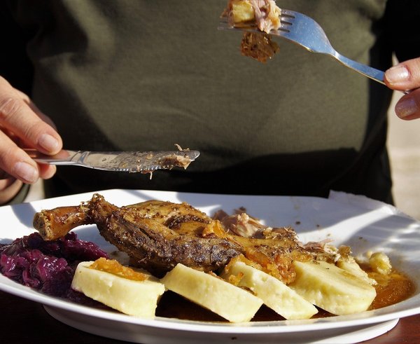 husa svatomartinská