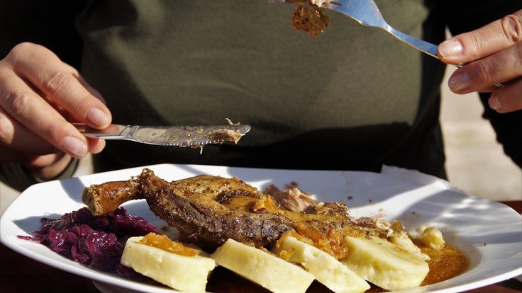 husa svatomartinská